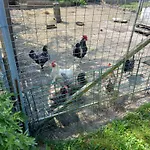 De La Queune 4 Pers Souvigny