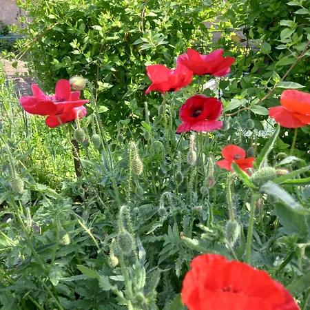 別荘 De La Queune 4 Pers