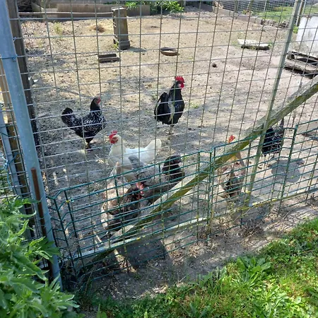 De La Queune 4 Pers Souvigny
