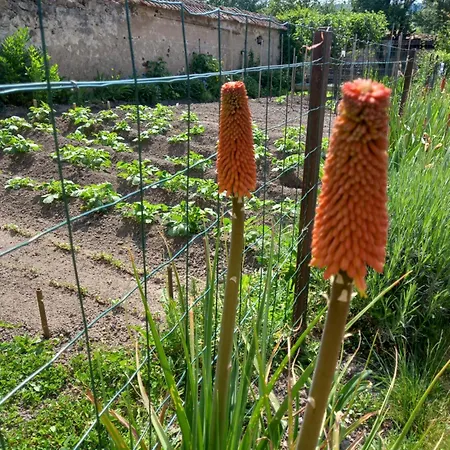 De La Queune 4 Pers 別荘 *